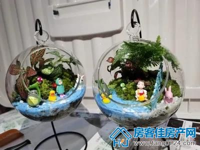 金樾府 金樾府